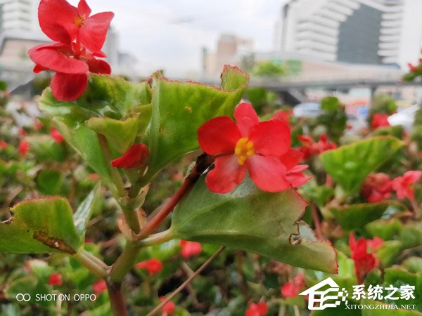 OPPO R17怎么样?OPPO R17手机综合评测