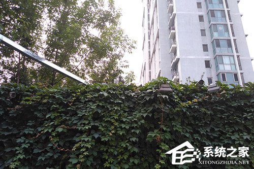 Moto E5 Plus怎么样?Moto E5 Plus手机评测