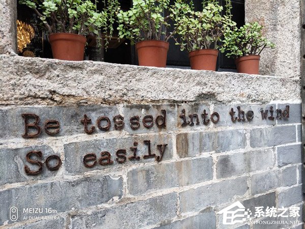 买魅族16th还是小米8?小米8和魅族16th对比评测