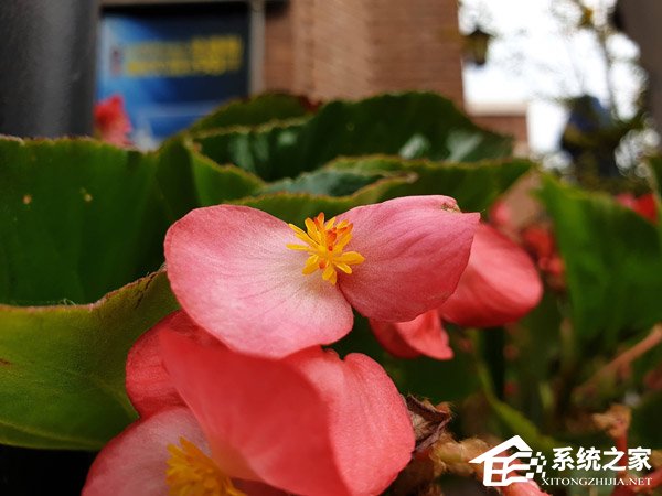 三星Galaxy Note9好不好？三星Note9手机深度体验评测