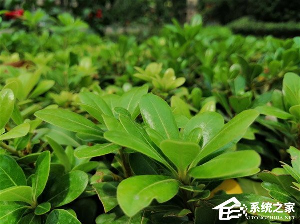 华为麦芒7怎么样?华为麦芒7综合评测