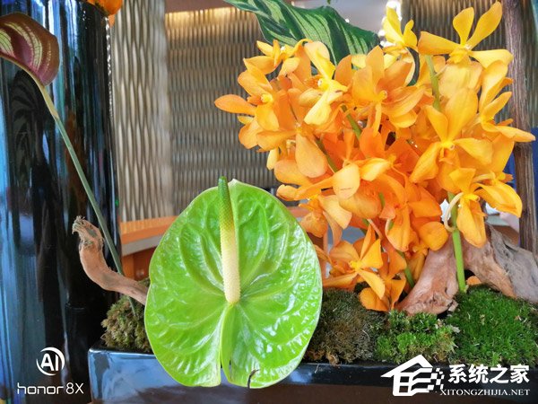 买荣耀8X还是小米8 SE?小米8 SE和荣耀8X对比评测