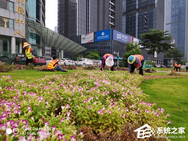 买荣耀8X还是小米8 SE?小米8 SE和荣耀8X对比评测