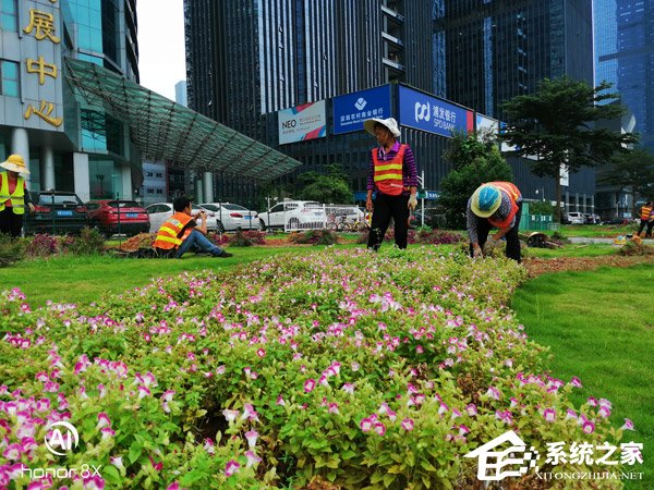 买荣耀8X还是小米8 SE?小米8 SE和荣耀8X对比评测