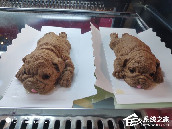买荣耀8X还是小米8 SE?小米8 SE和荣耀8X对比评测