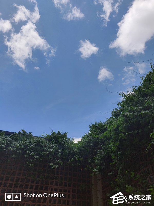 买一加6还是努比亚Z18?努比亚Z18和一加6对