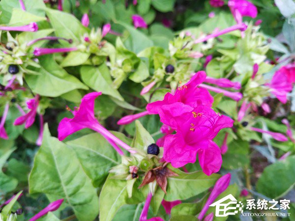 小米8青春版好用吗?小米8青春版手机评测