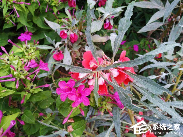 小米8青春版好用吗?小米8青春版手机评测