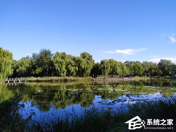 小米8青春版怎么样好用吗?小米8青春版体验评测