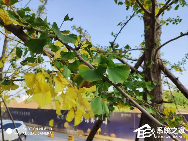 小米8屏幕指纹版好不好?小米8屏幕指纹版手机评测