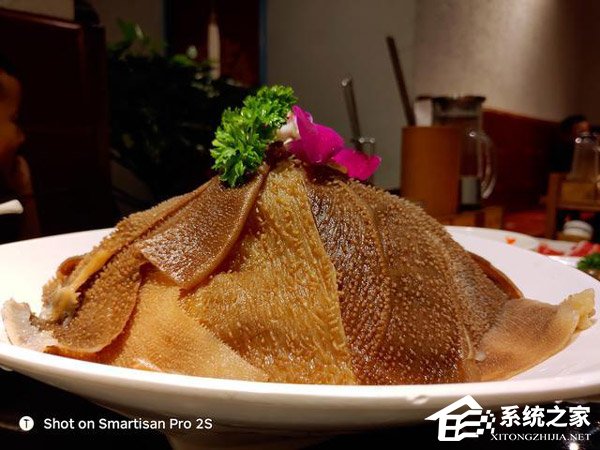 坚果Pro 2S怎么样好用吗?坚果Pro 2S手机评测