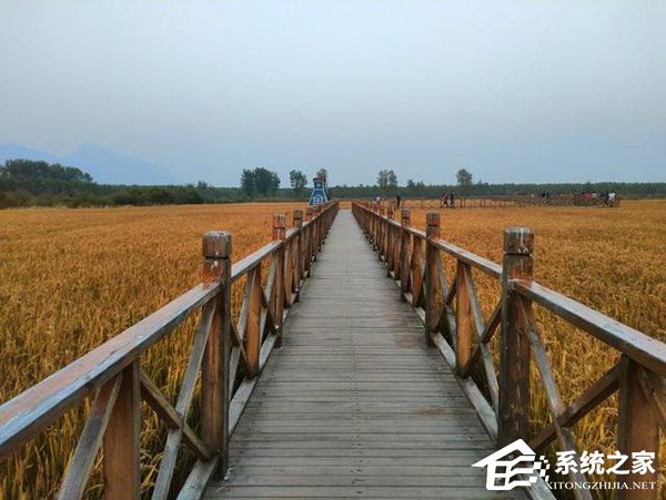 荣耀畅玩8C怎么样?荣耀畅玩8C体验评测
