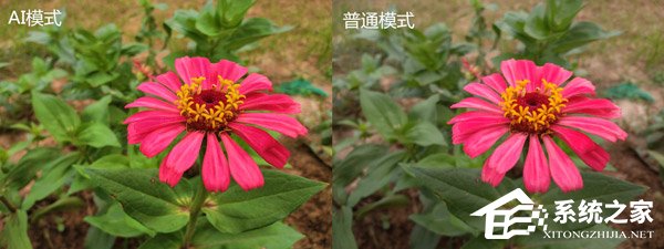 荣耀畅玩8C值不值得买?荣耀畅玩8C上手评测