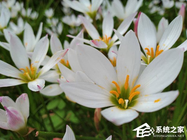 荣耀畅玩8C值不值得买?荣耀畅玩8C上手评测