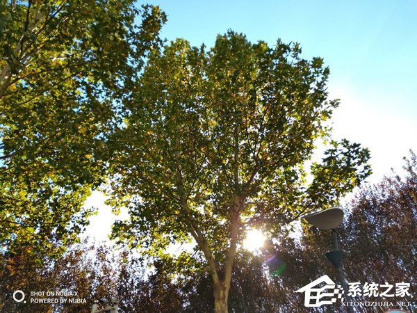 努比亚X好不好?努比亚X手机评测