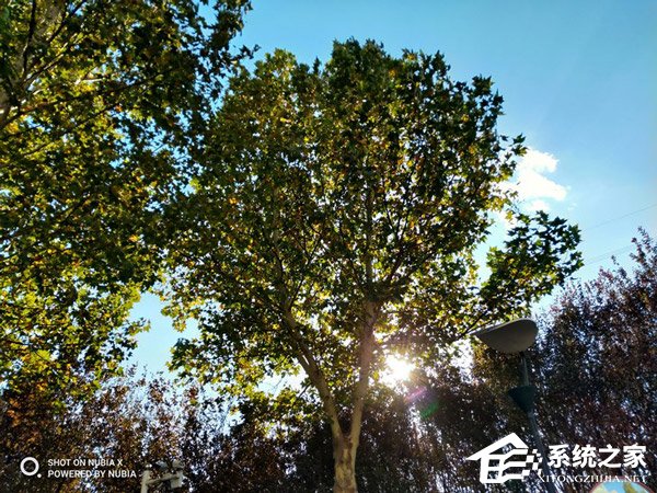 努比亚X好不好?努比亚X手机评测