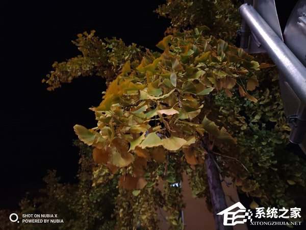 努比亚X好不好?努比亚X手机评测