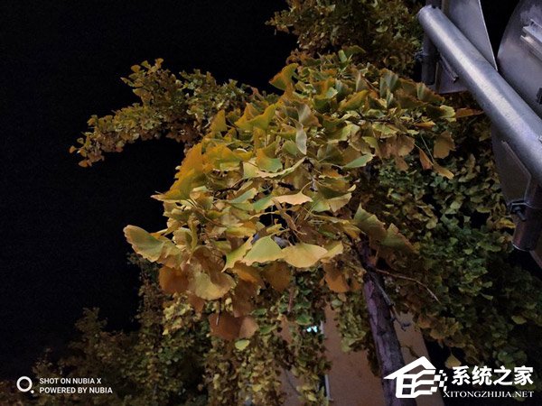 努比亚X好不好?努比亚X手机评测