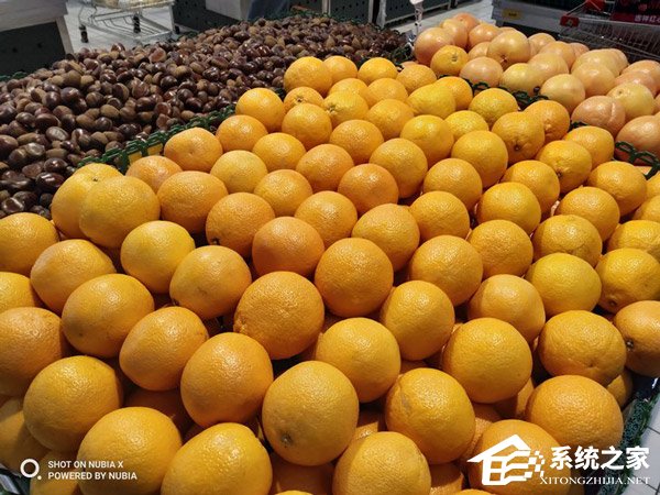 努比亚X好不好?努比亚X手机评测