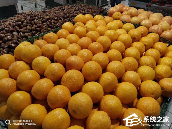 努比亚X好不好?努比亚X手机评测