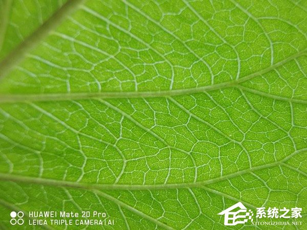 华为Mate 20 Pro好不好?华为Mate 20 Pro手机评测