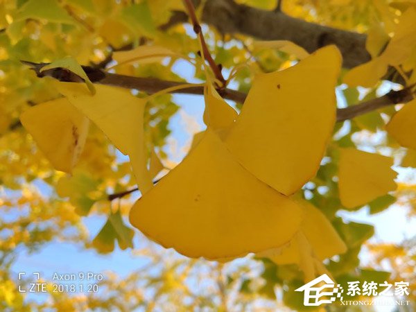 中兴天机Axon9 Pro怎么样?中兴天机Axon9 Pr