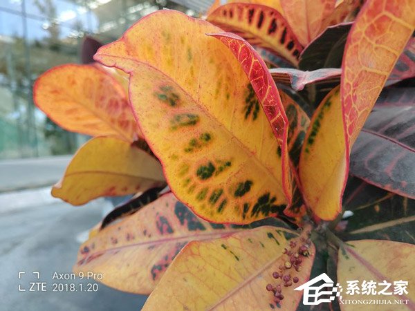 中兴天机Axon9 Pro怎么样?中兴天机Axon9 Pr