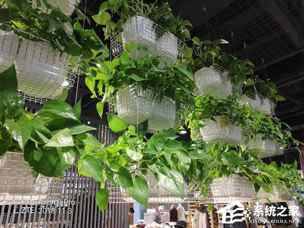 中兴天机Axon9 Pro怎么样?中兴天机Axon9 Pr