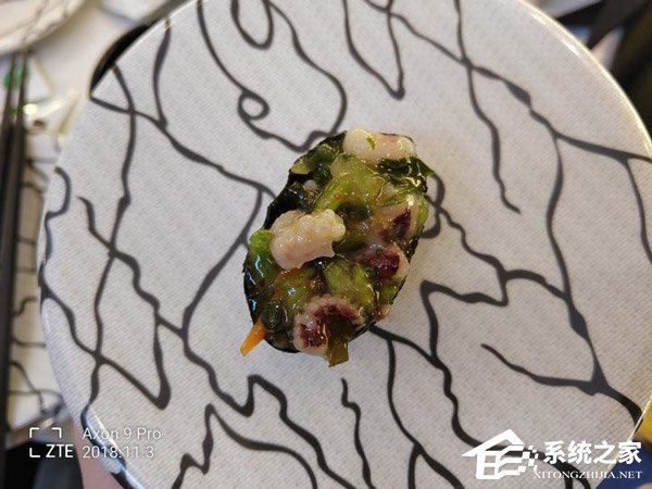 中兴天机Axon9 Pro怎么样?中兴天机Axon9 Pr