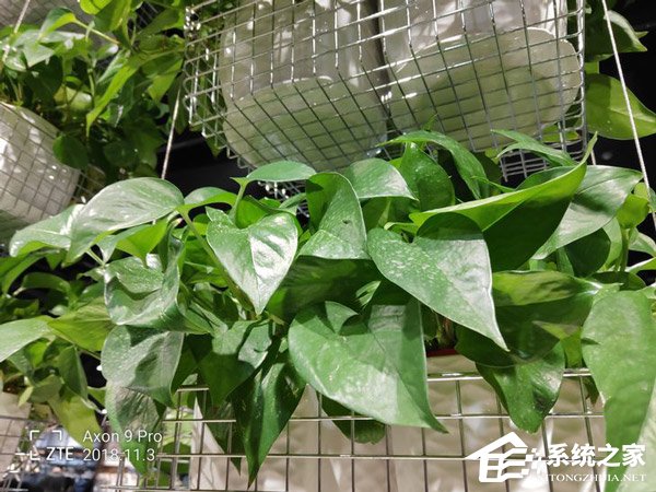 中兴天机Axon9 Pro怎么样?中兴天机Axon9 Pr