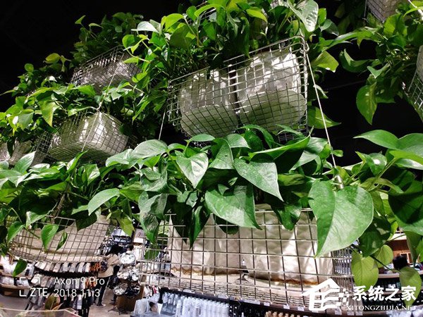 中兴天机Axon9 Pro怎么样?中兴天机Axon9 Pr