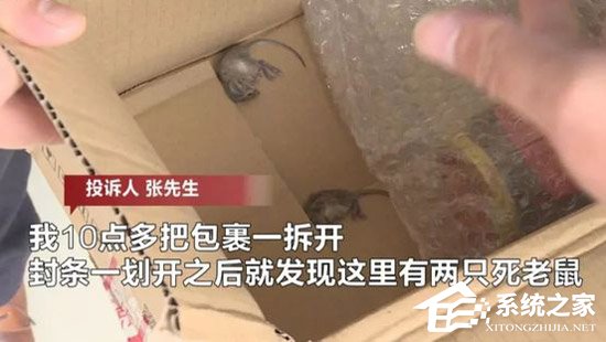 出库时没问题!京东回应双十一包裹里拆出死老