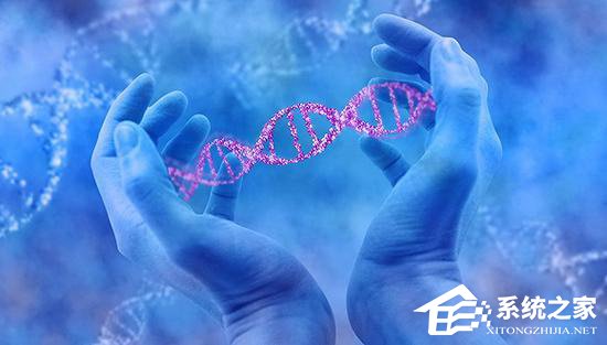 科技部副部长:“基因编辑婴儿”是明令禁止的
