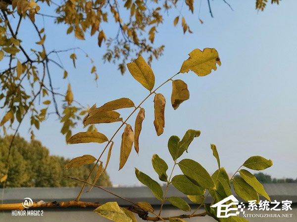 买荣耀Magic 2还是小米MIX 3?小米MIX 3和荣耀Magic 2对比评测