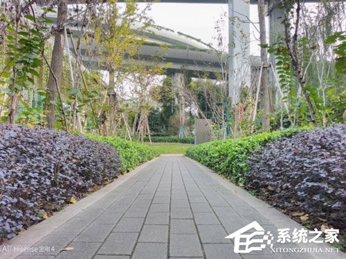 海信金刚4好用吗?海信金刚4手机上手评测
