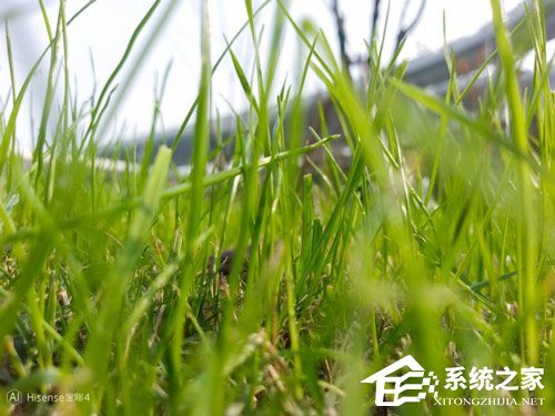 海信金刚4好用吗?海信金刚4手机上手评测