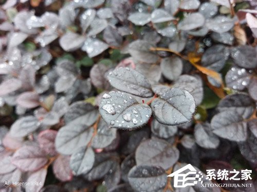 海信金刚4好用吗?海信金刚4手机上手评测