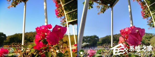 买小米8青春版还是荣耀10青春版?荣耀10青春版和小米8青春版对比评测