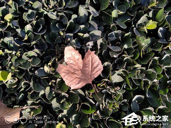 联想Z5s好不好?联想Z5s手机体验评测
