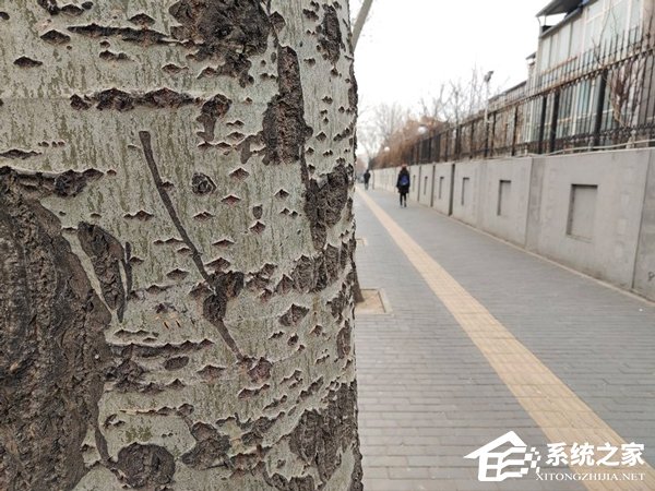 vivo NEX双屏版值得买吗?vivo NEX双屏版上手