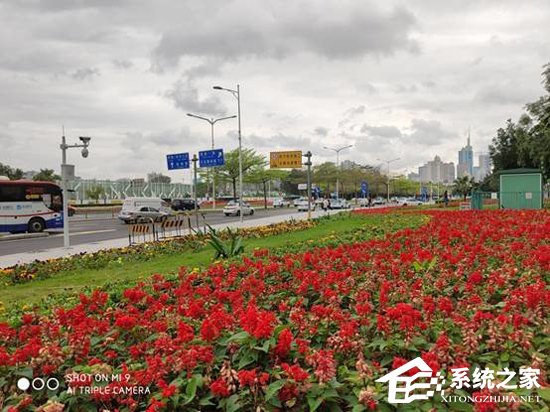 小米9和荣耀V20哪个好?荣耀V20和小米9对比