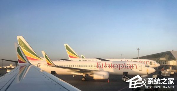 埃航CEO：航班坠毁前飞行员曾请求返航