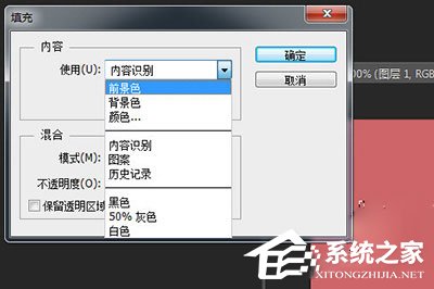 菜单【编辑】【填充】(快捷键shift f5),在【使用】中选择【前景色】