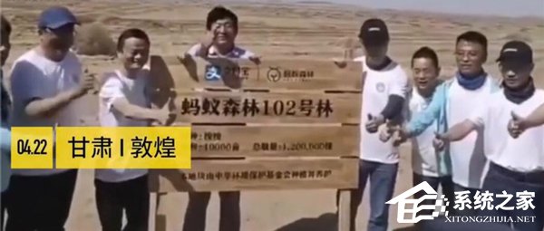 马云:希望未来每年种1亿棵树”