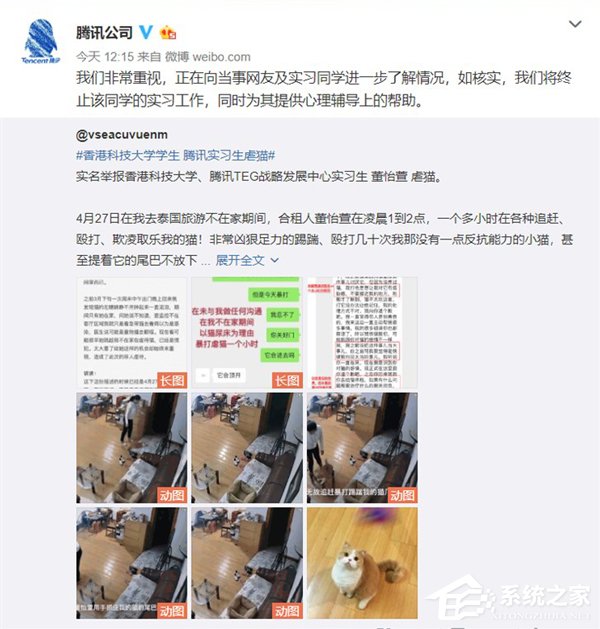 腾讯女实习生虐猫遭网友举报（附相关视频）”