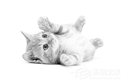 PS怎么做素描画效果?PS做素描画效果的方法