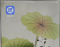 智联招聘如何隐藏简历?智联招聘隐藏简历的方法