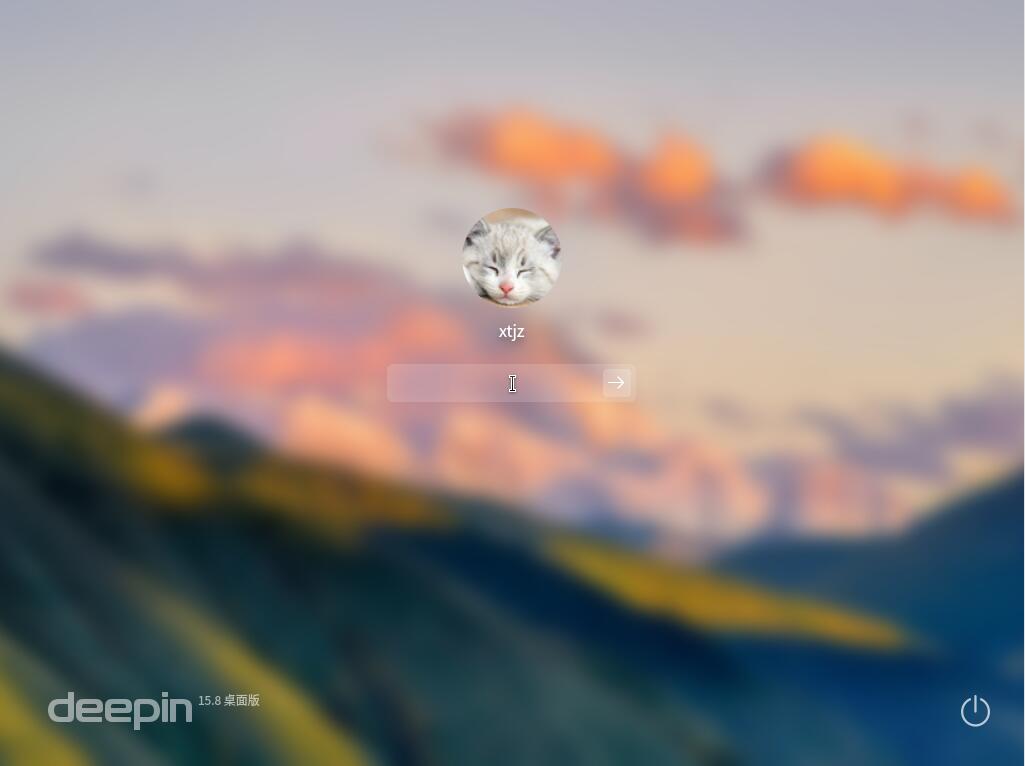 Deepin 15.8 X64官方正式版 （64位）