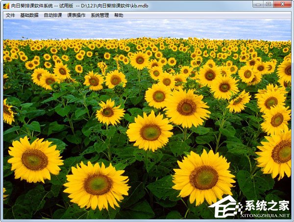 排课软件哪些好用？好用的排课软件推荐”