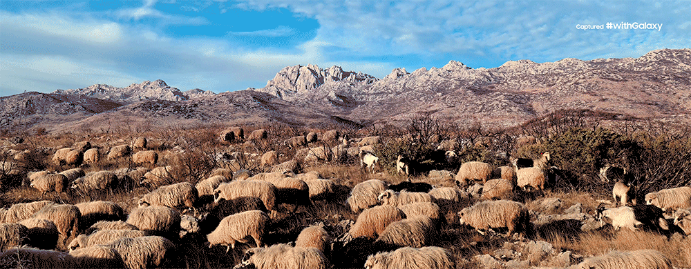 官方公布三星S20 Ultra拍月亮效果样张